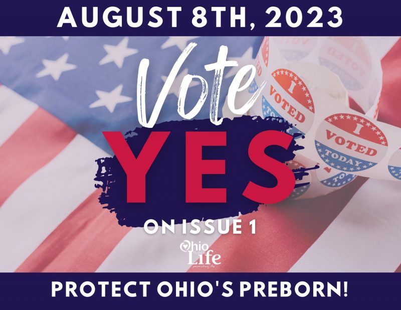 Tuesday, August 8: Ohio Must Vote For Issue 1 To Stop Unlimited ...